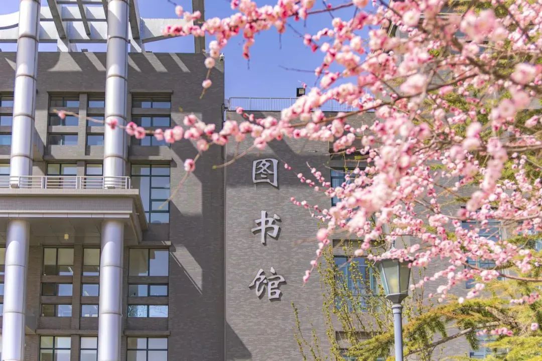 28圈(中国游)官方网站
