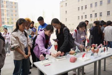 28圈(中国游)官方网站