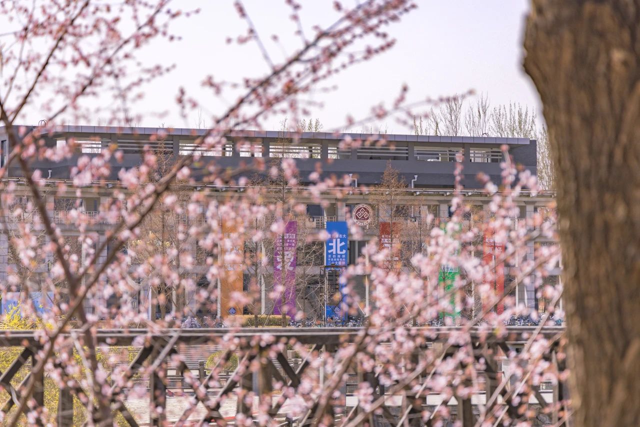 28圈(中国游)官方网站