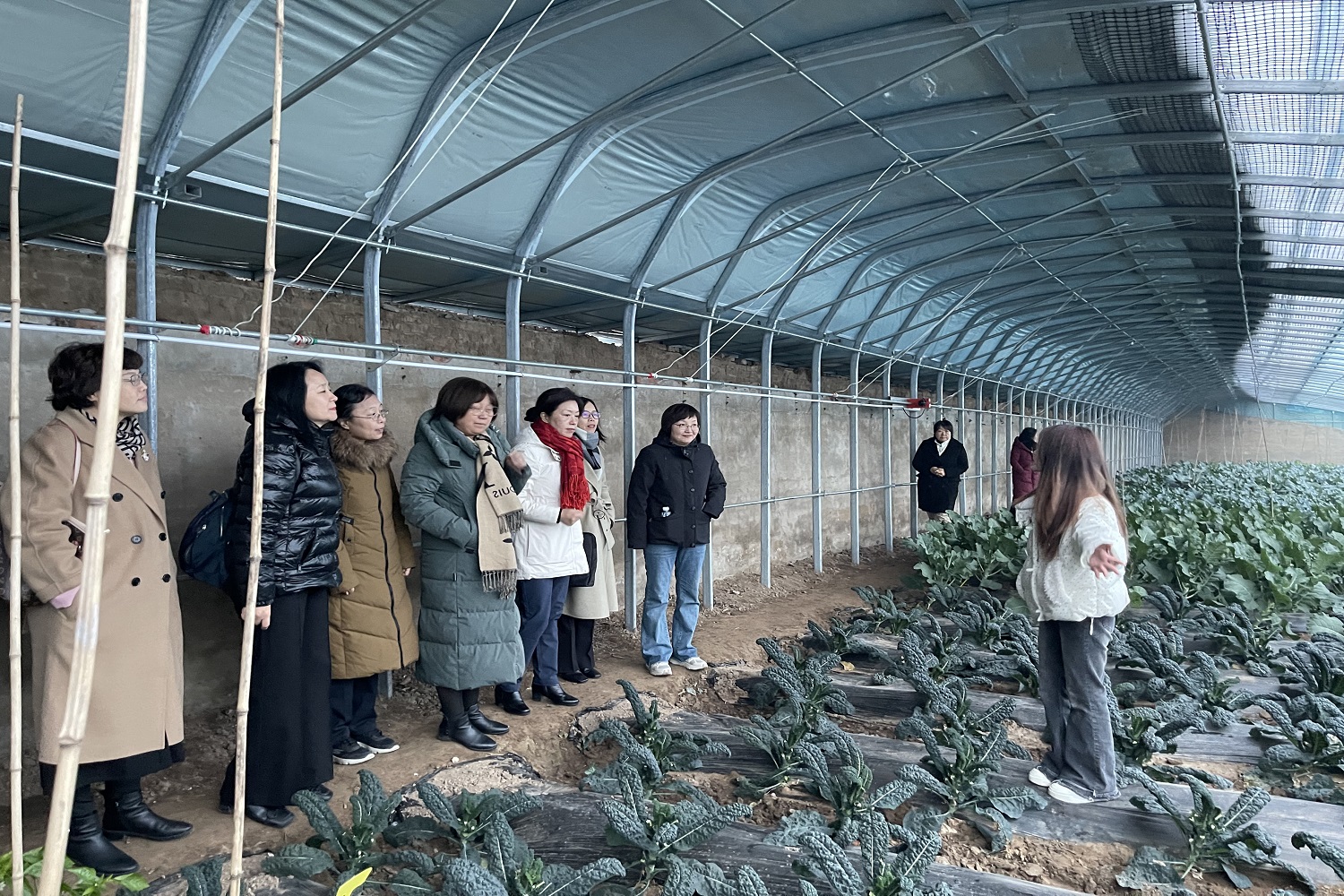 28圈(中国游)官方网站