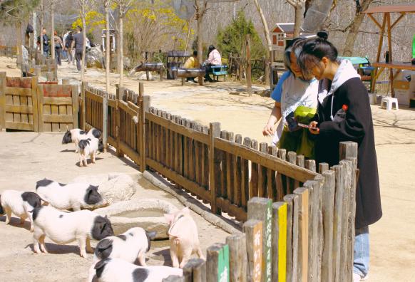 28圈(中国游)官方网站