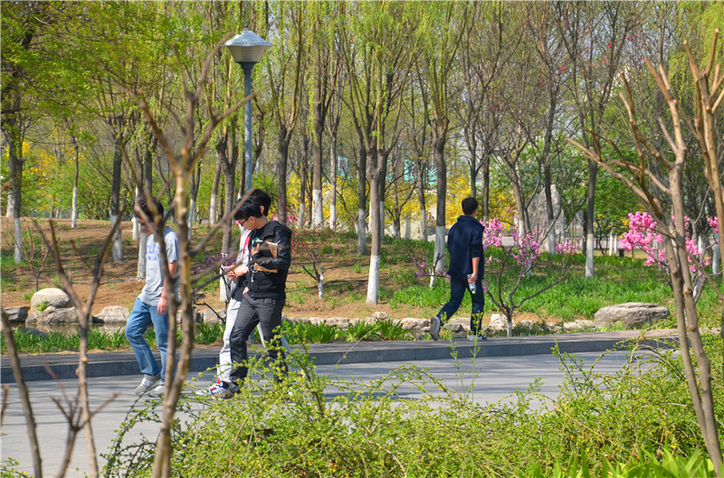 28圈(中国游)官方网站
