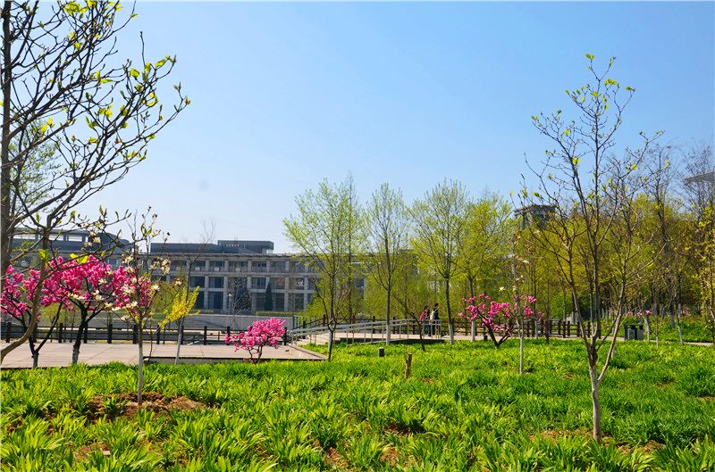 28圈(中国游)官方网站